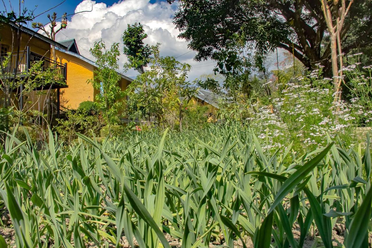 Prakriti Aalay - Riverside Mountain View Boutique Eco Resort Dharamshala Luaran gambar