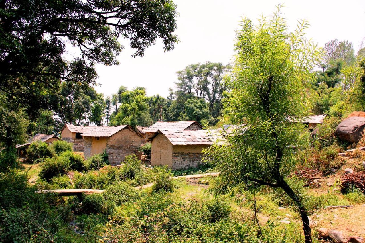 Prakriti Aalay - Riverside Mountain View Boutique Eco Resort Dharamshala Luaran gambar