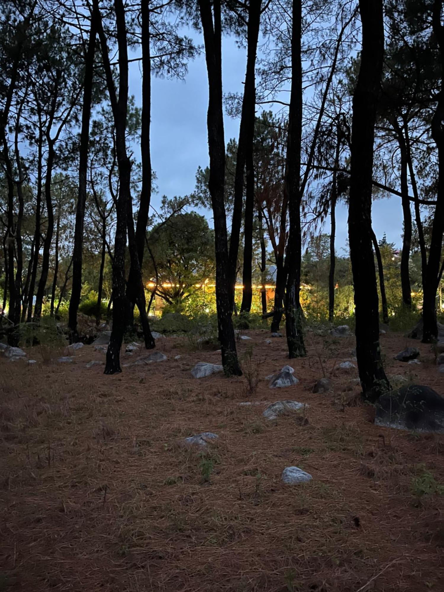 Prakriti Aalay - Riverside Mountain View Boutique Eco Resort Dharamshala Luaran gambar